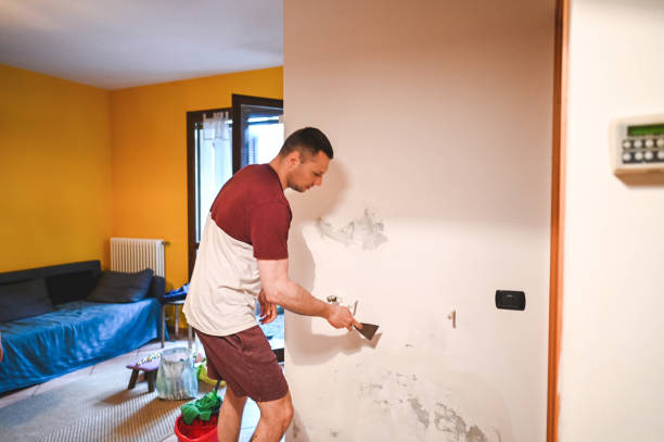 Best Black Mold Removal  in Joshua Tree, CA