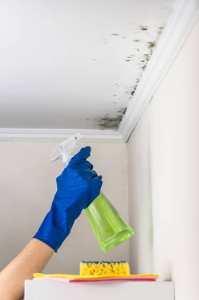 Water Damage Restoration in Joshua Tree, CA