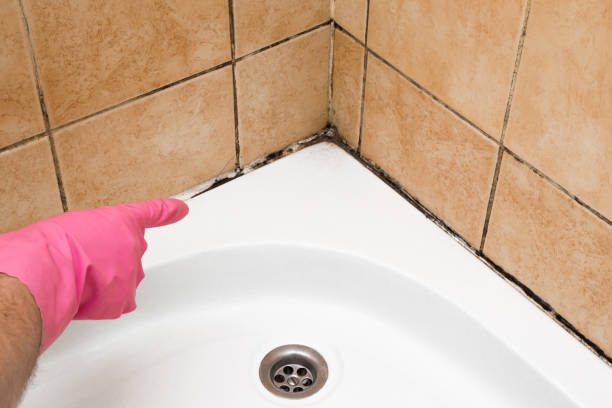 Best Crawl Space Mold Removal  in Joshua Tree, CA
